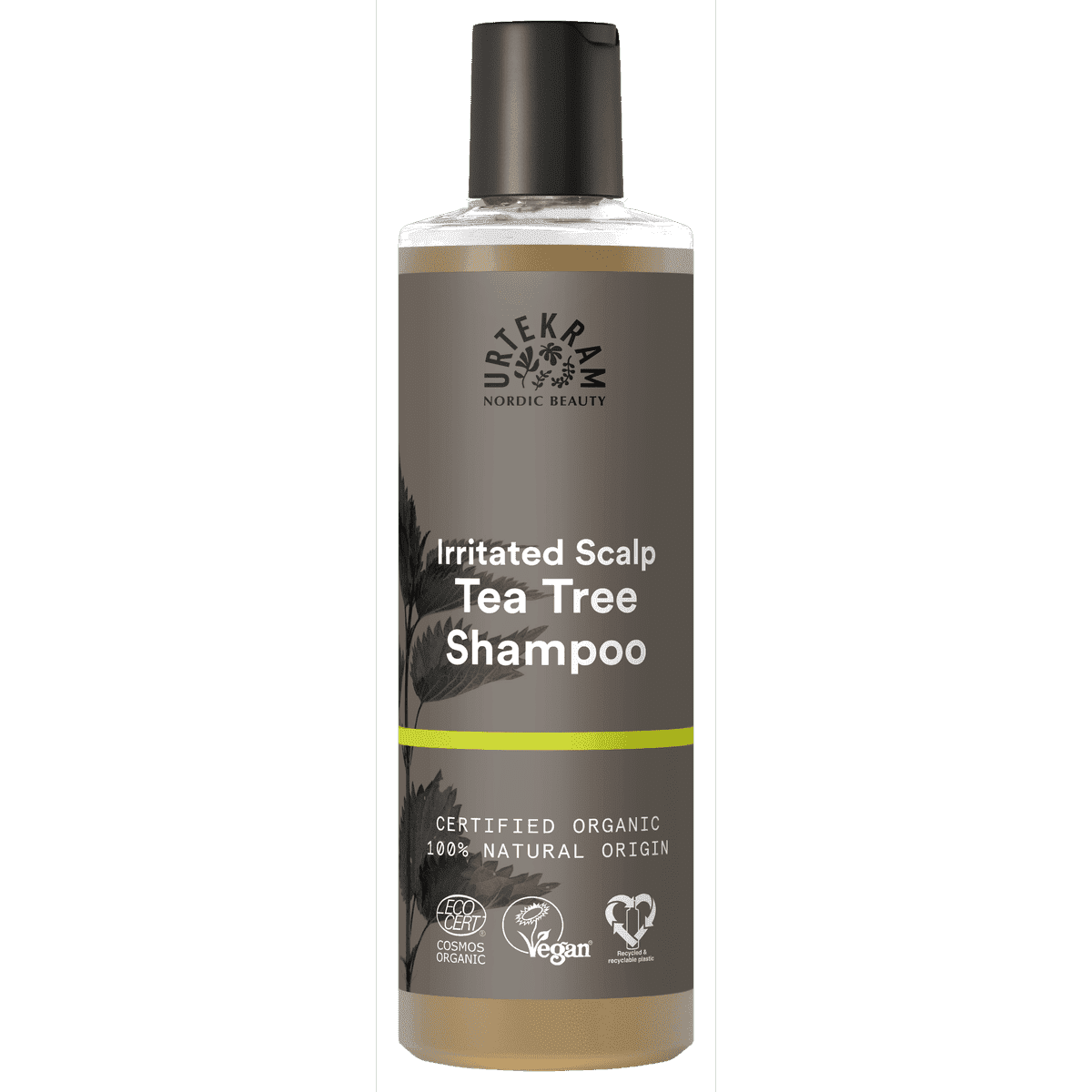 Tea tree shampoo 250 ml, Urtekram
