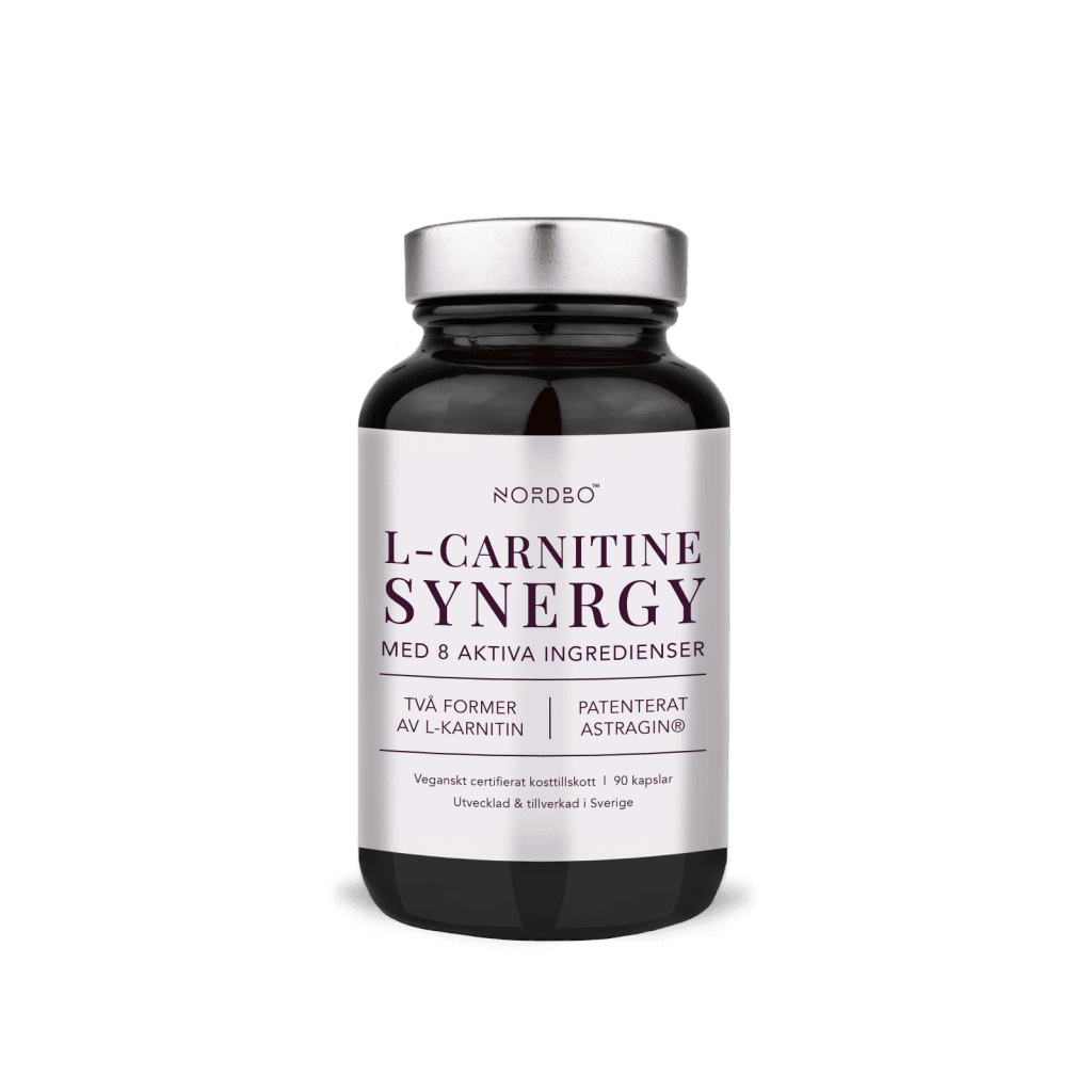 L- Carnitine Synergy 90 kaps, Nordbo