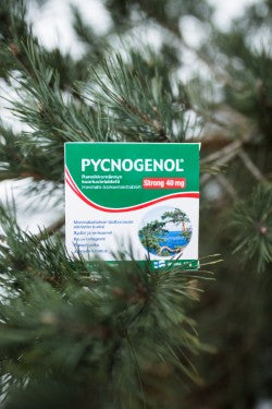 Pycnogenol Strong -tuki verenkierrolle, iholle ja vastuskyvylle