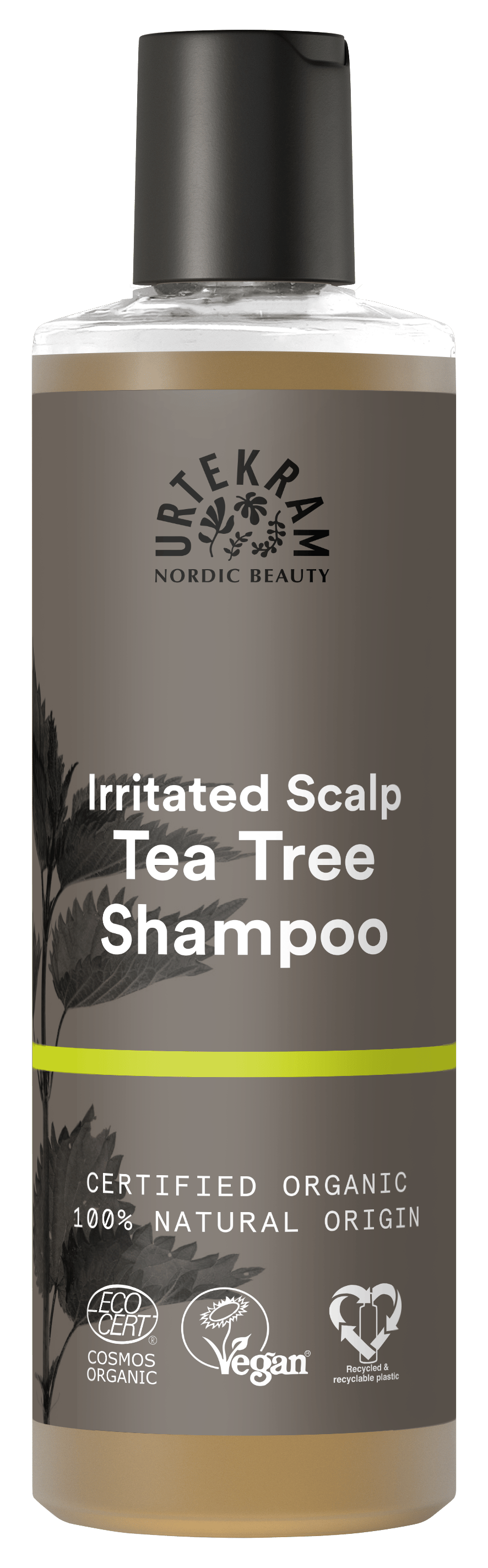 Tea tree shampoo 250 ml, Urtekram
