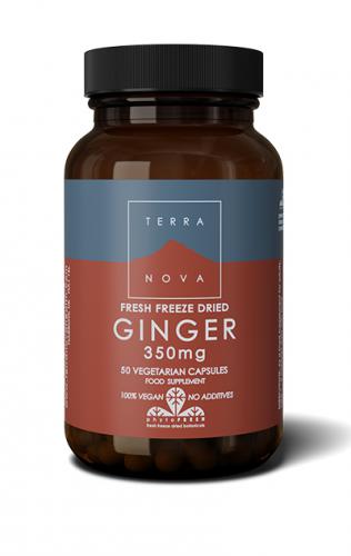 Ginger 350 mg (inkivääri) 50 kaps, Terranova