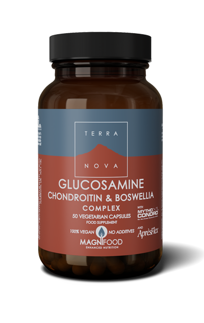 Glucosamine Chondroitin & Boswellia Complex 50kaps, Terranova