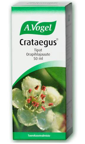 Crataegus Orapihlajauute 50ml, A. Vogel