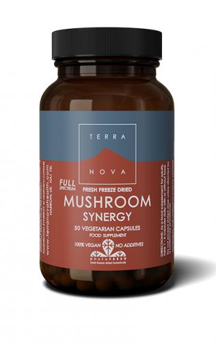 Full Spectrum Mushroom Synergy 50kaps (luomu), Terranova