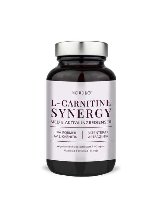 L- Carnitine Synergy 90 kaps, Nordbo