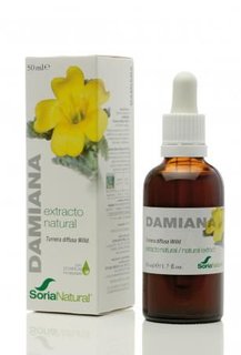 Damiana uute large