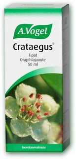 Crataegus large