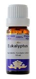 Eukalyptus frantsila