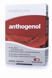 Anthogenol solgar large