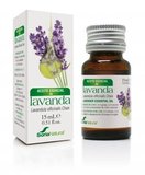 Laventeli sorianatural 15 large